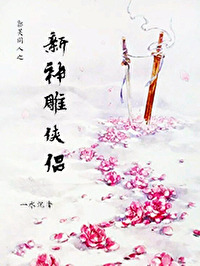 新神雕侠侣
