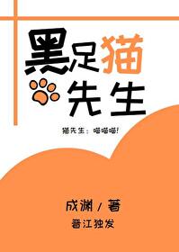 黑足猫先生[综]