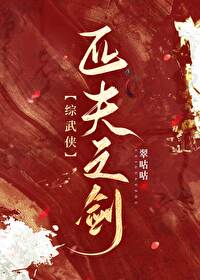 [综武侠]匹夫之剑
