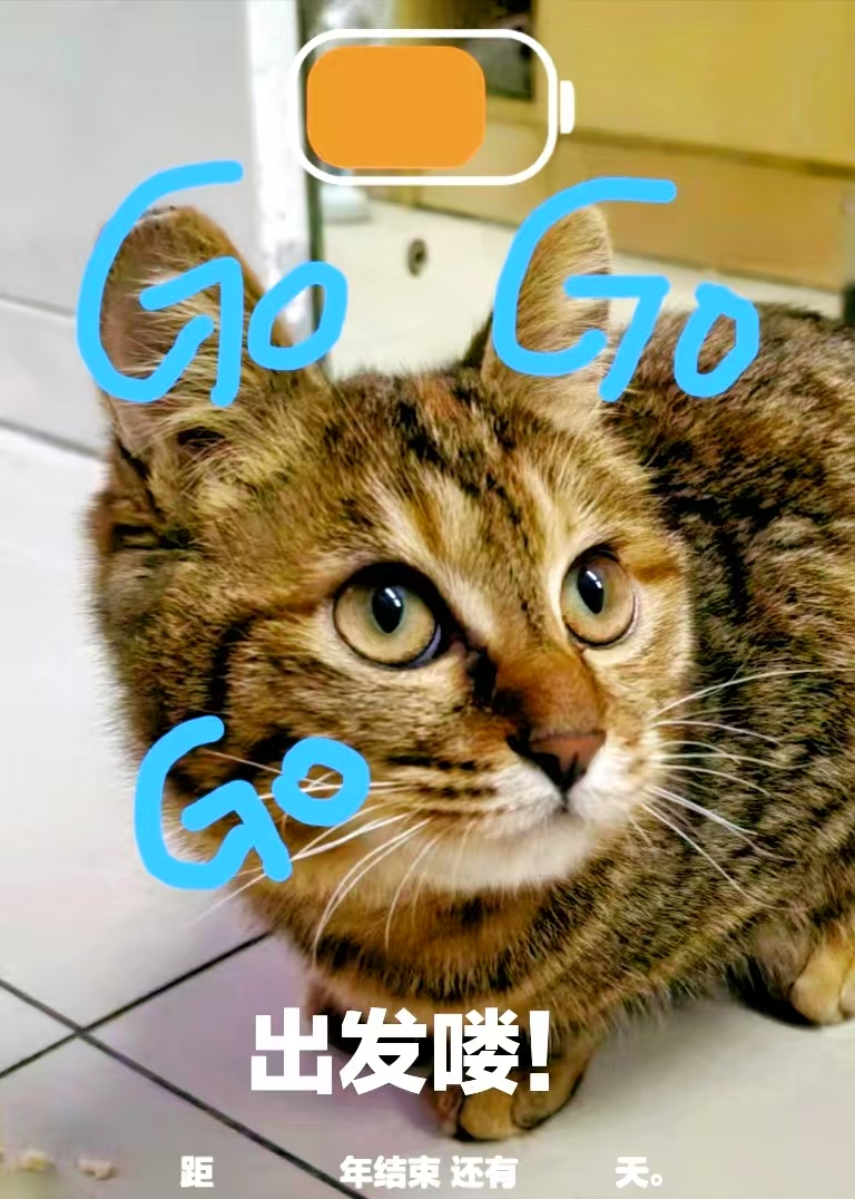 GoGoGol(f)D