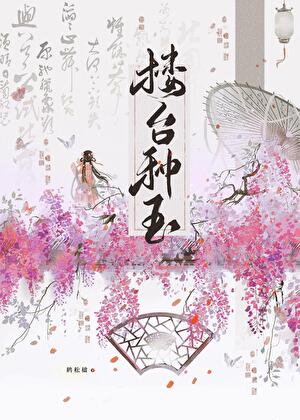 带着继子改嫁后